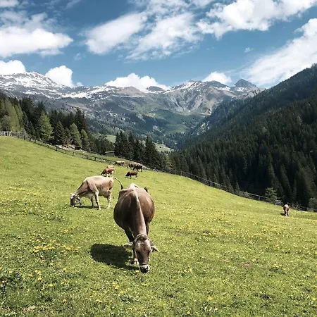 Bergler Hoamat Сasa de vacaciones