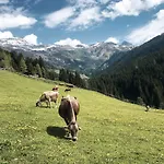 Bergler Hoamat Дом отдыха