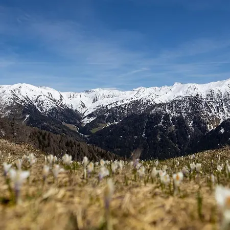 Bergler Hoamat * Нафис