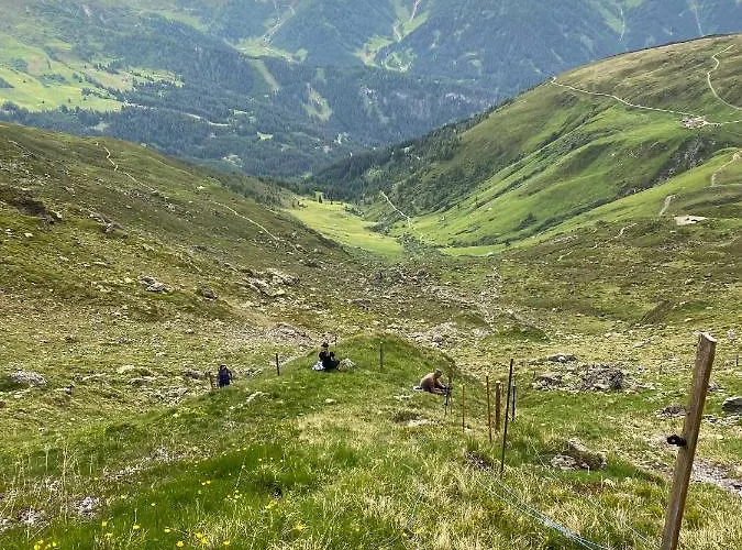 펜션 Bergler Hoamat Navis