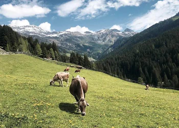 Bergler Hoamat 펜션