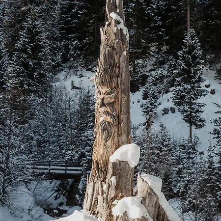 Bergler Hoamat * Navis